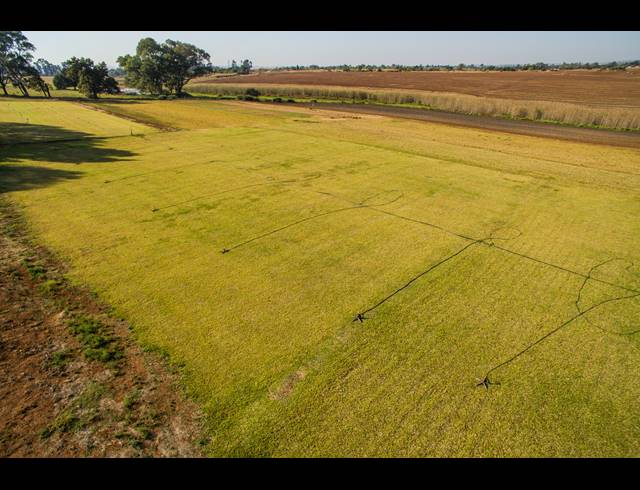 5.80HA FARM FOR SALE IN TARLTON